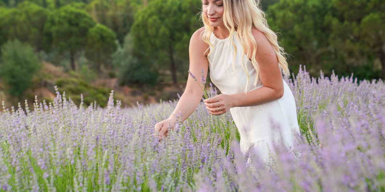 Seferihisar’da lavanta hasadı şenlikle başlıyor