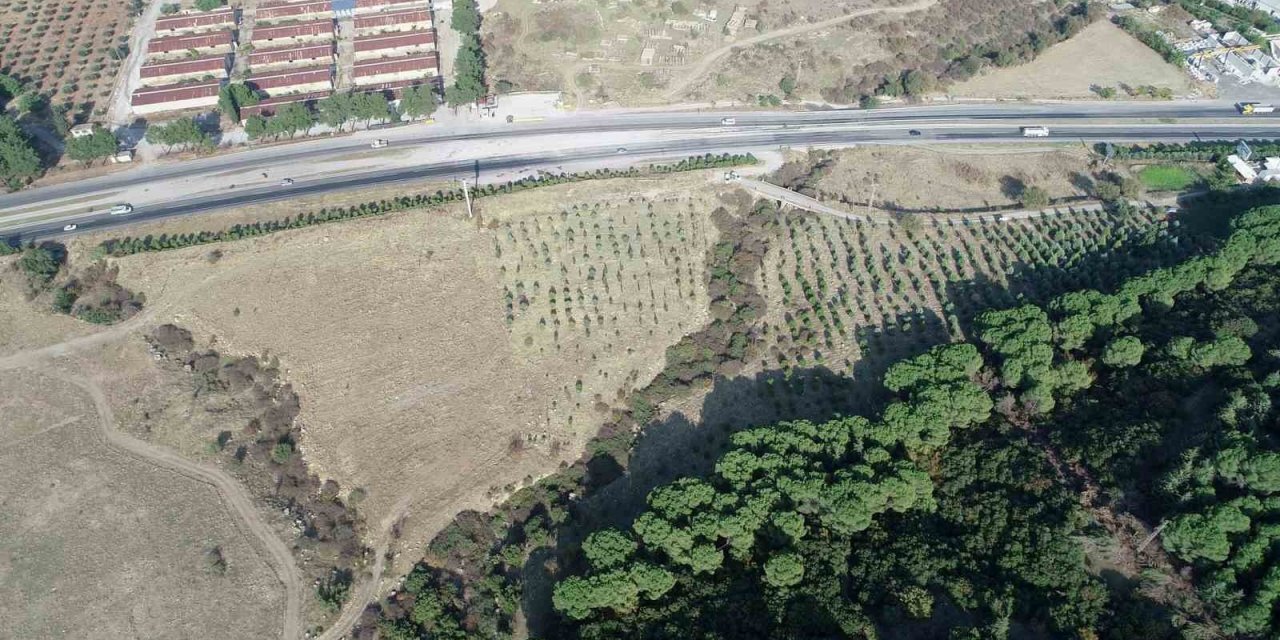 Şehzadeler’e yeni piknik alanı müjdesi