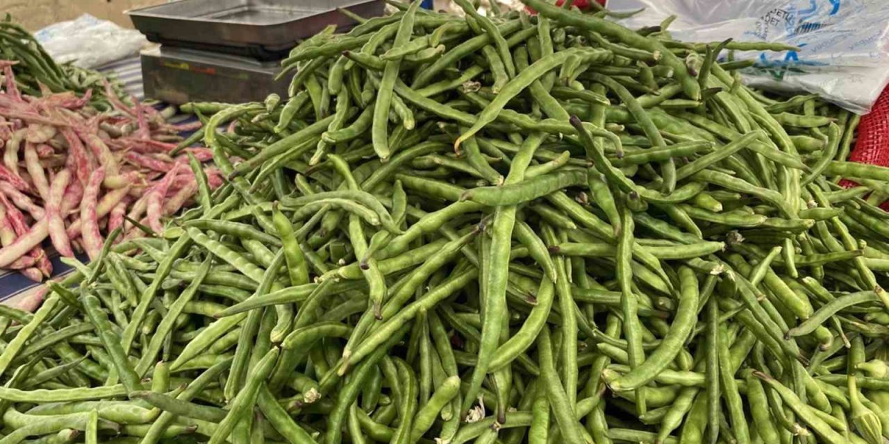 Türkiye’nin Börülce merkezi Muğla