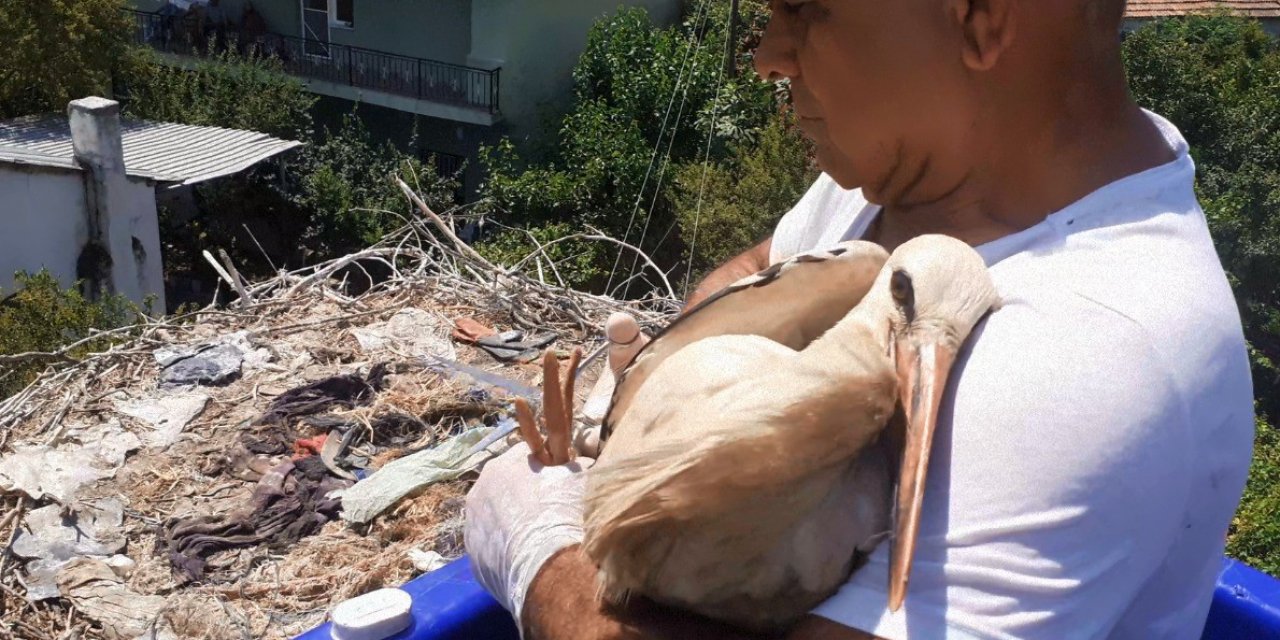 Yuvada ayağına ip dolanan leyleği vatandaşların dikkati kurtardı