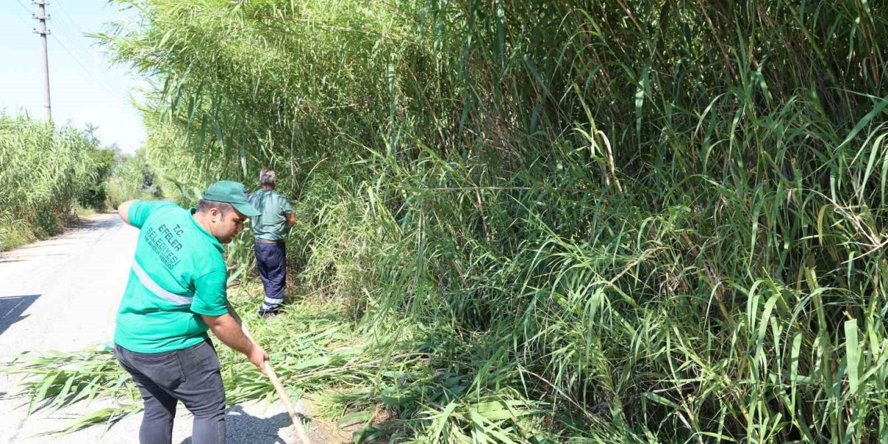 Efeler Belediyesi ekiplerinden kargı temizliği