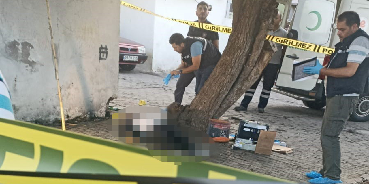 Aydın’da bir kişi sokakta ölü bulundu