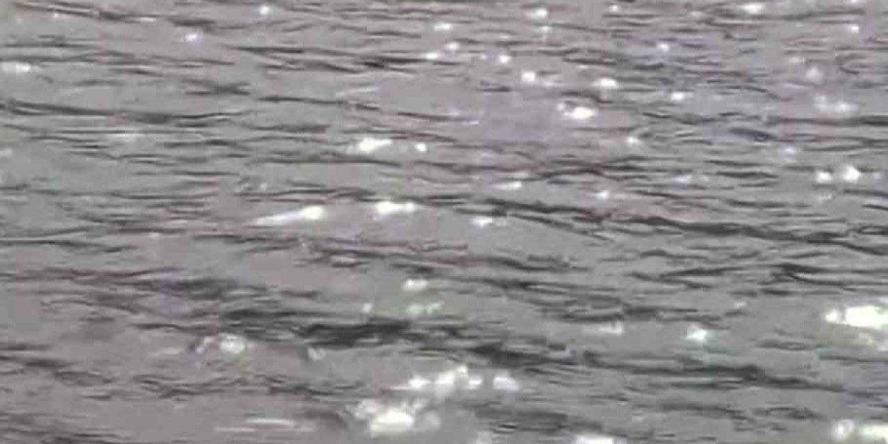 Marmaris’te görülen Kaşalot cinsi balina bu kez Rodos açıklarında ortaya çıktı