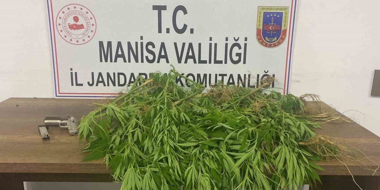 Manisa’da jandarmadan uyuşturucu operasyonu: 3 gözaltı