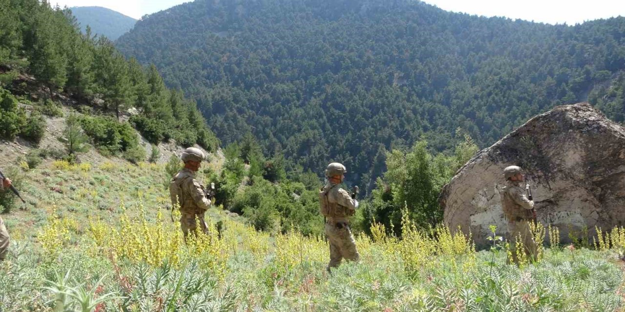 Orman yangınlarına karşı denetimler sıklaştırıldı