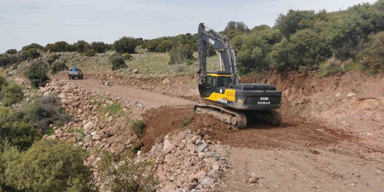 Aliağa’da ormanlık alanlarda hummalı çalışma