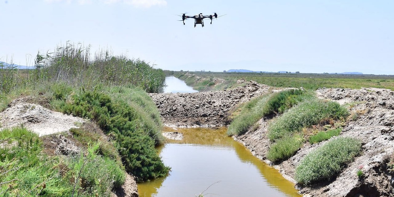 İzmir’de sivrisinek ile dronlu mücadele