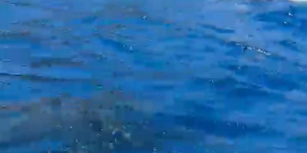 Marmaris sularında yunuslar tekneler ile yüzdü