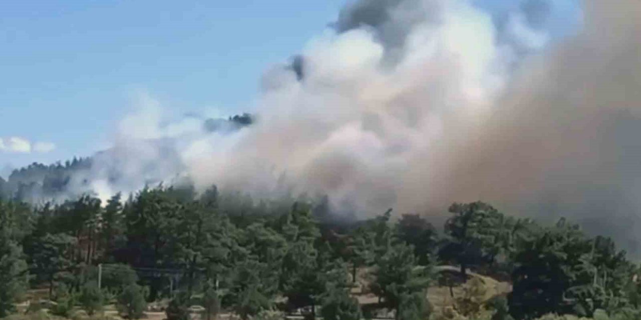 Ula’da orman yangını