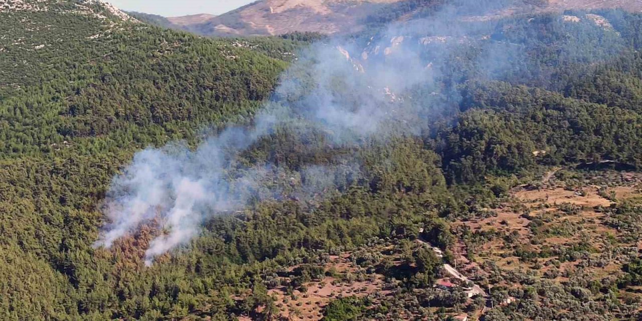 Milas’ta orman yangını
