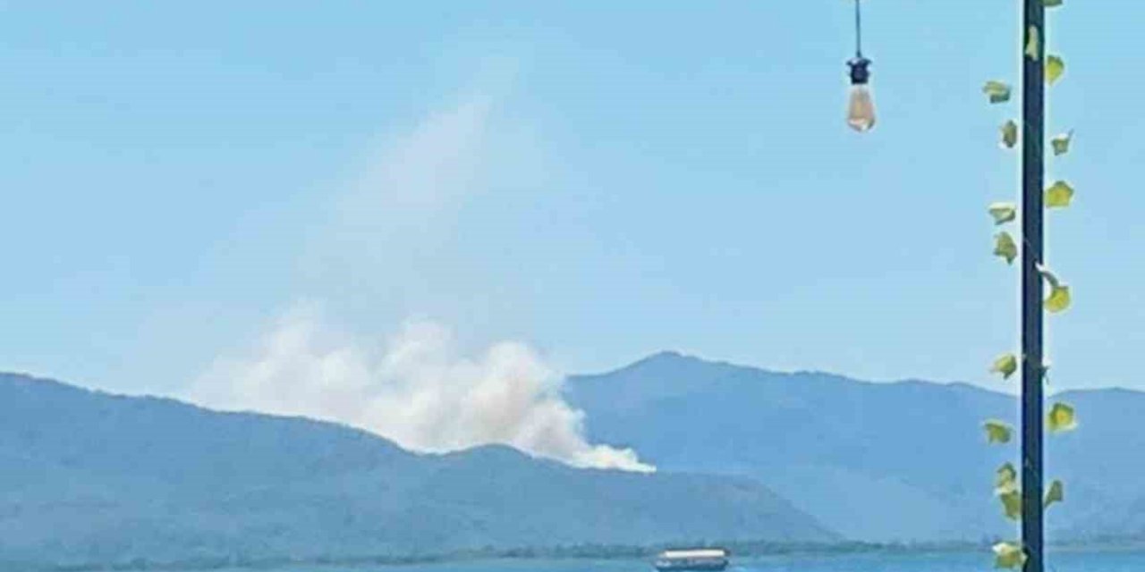Ortaca’da orman yangını