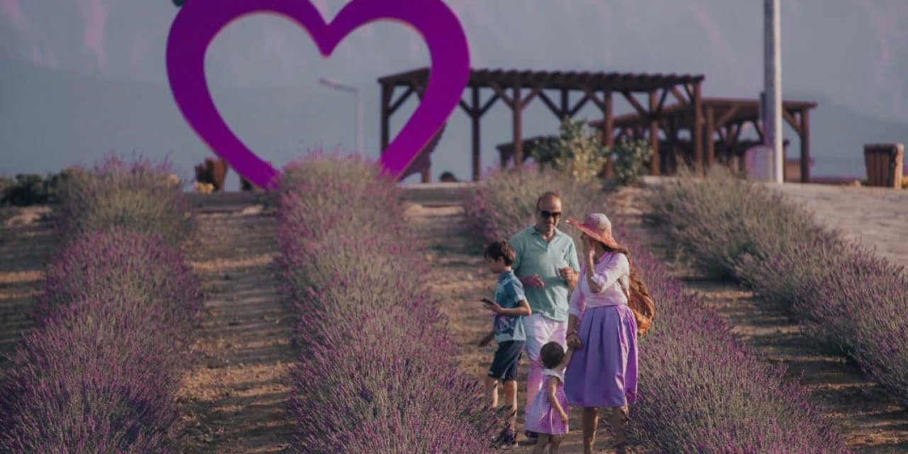 Merkezefendi’nin mor güzelliği misafirlerini bekliyor
