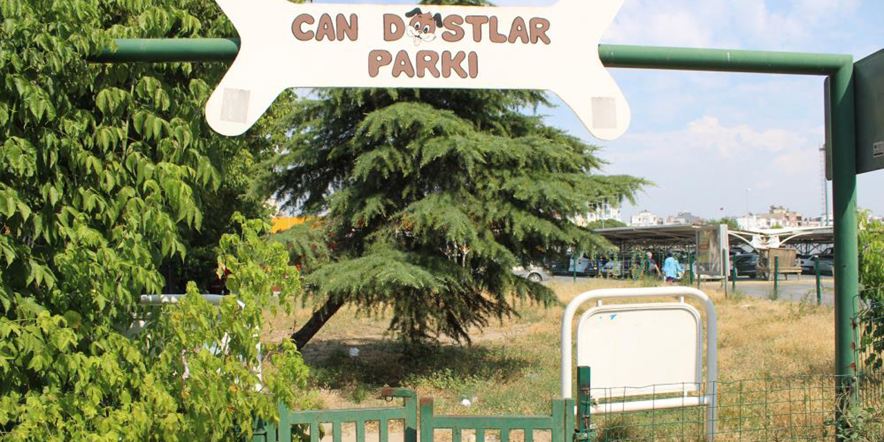 Can dostlar köpek parkı sahipsiz kaldı