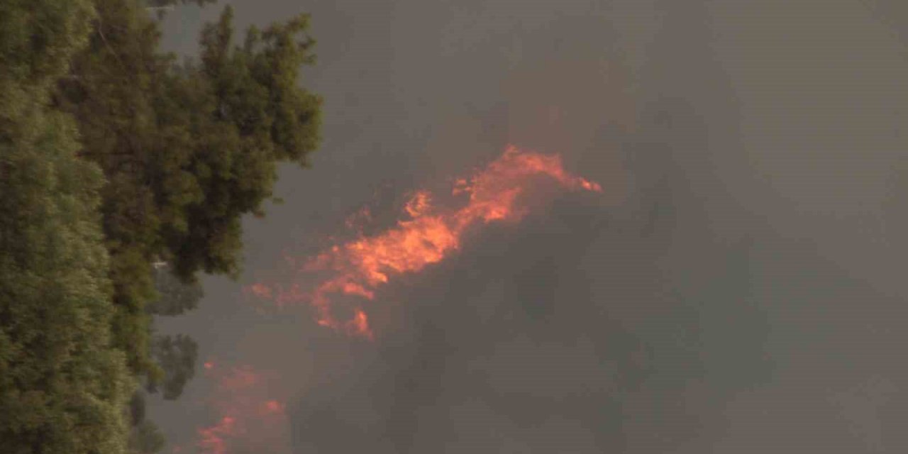 Valilikten sıcak hava ve yangın riski uyarısı