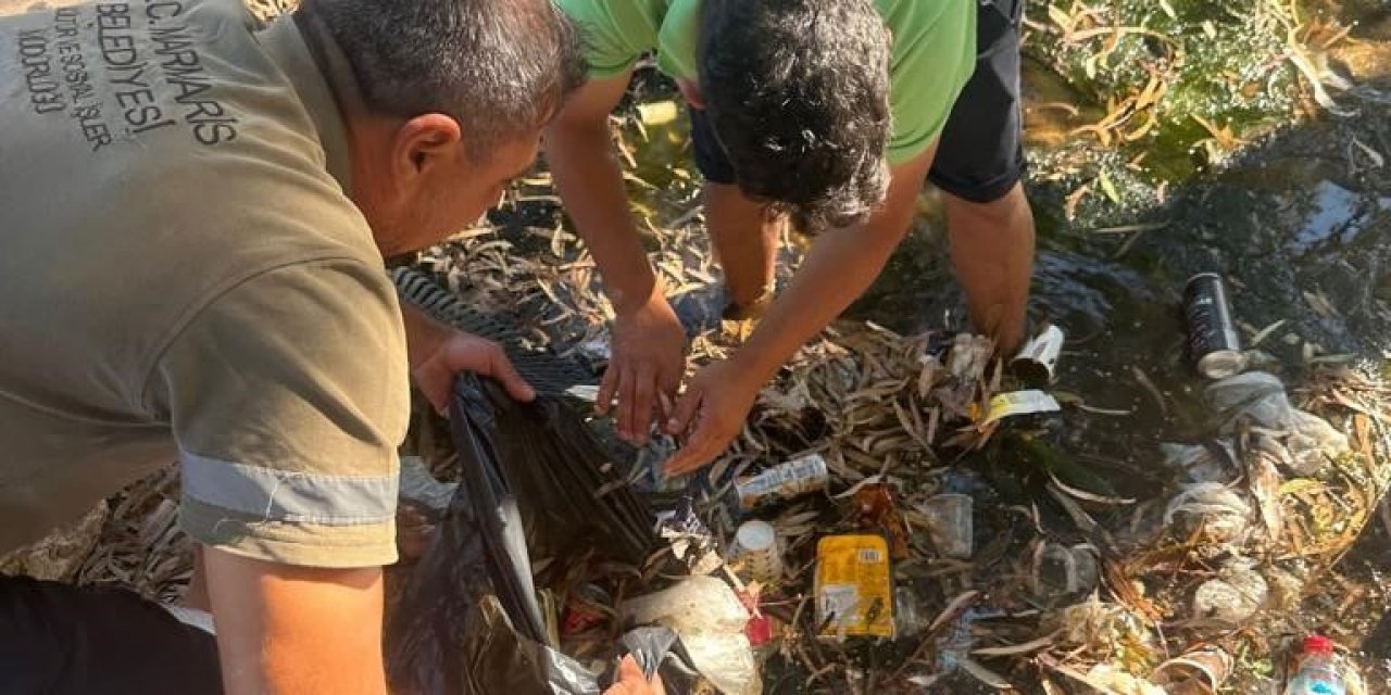Belediye, sivrisinek ve kötü koku oluşumunu önlemek için dere yataklarını temizledi