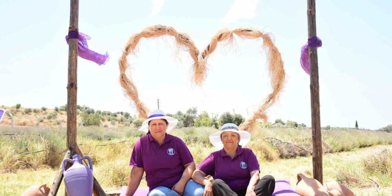Didim’in mis kokulu Lavanta Festivali’ne sayılı günler kaldı