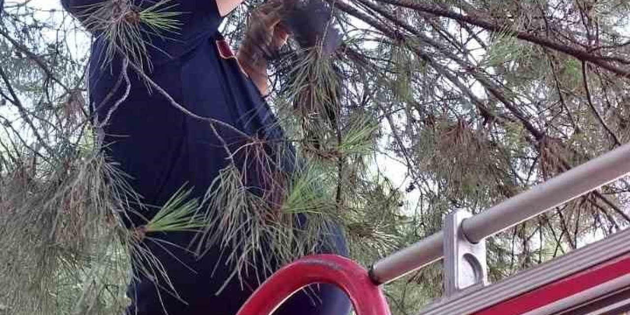 Karganın imdadına itfaiye yetişti