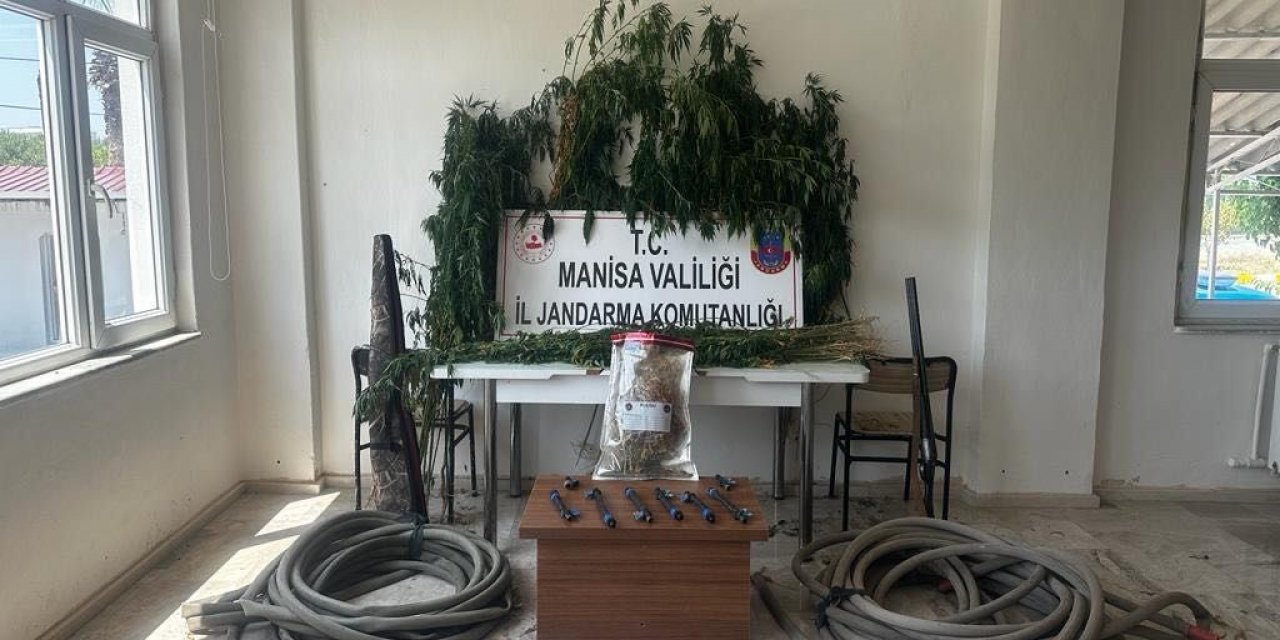 Manisa’da jandarmadan uyuşturucu operasyonu