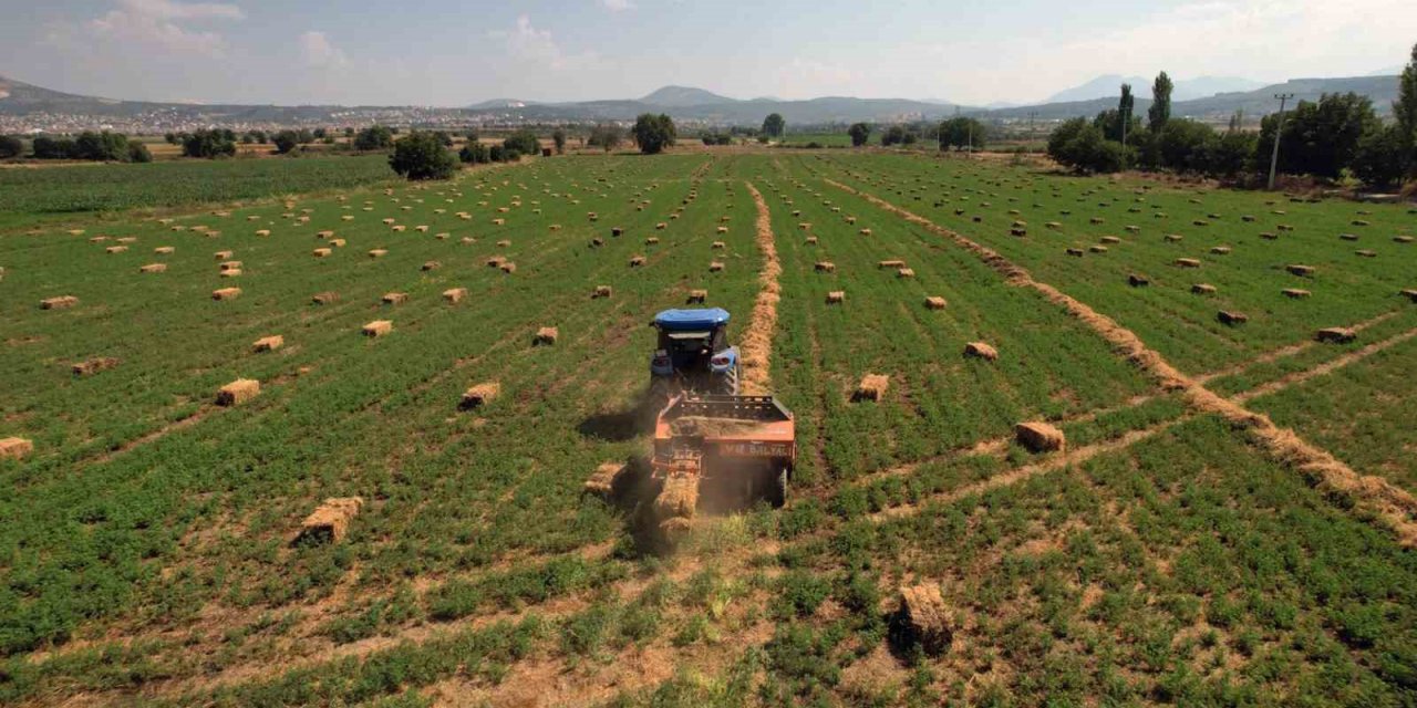Toprak Büyükşehir’den, üretim kooperatiflerden