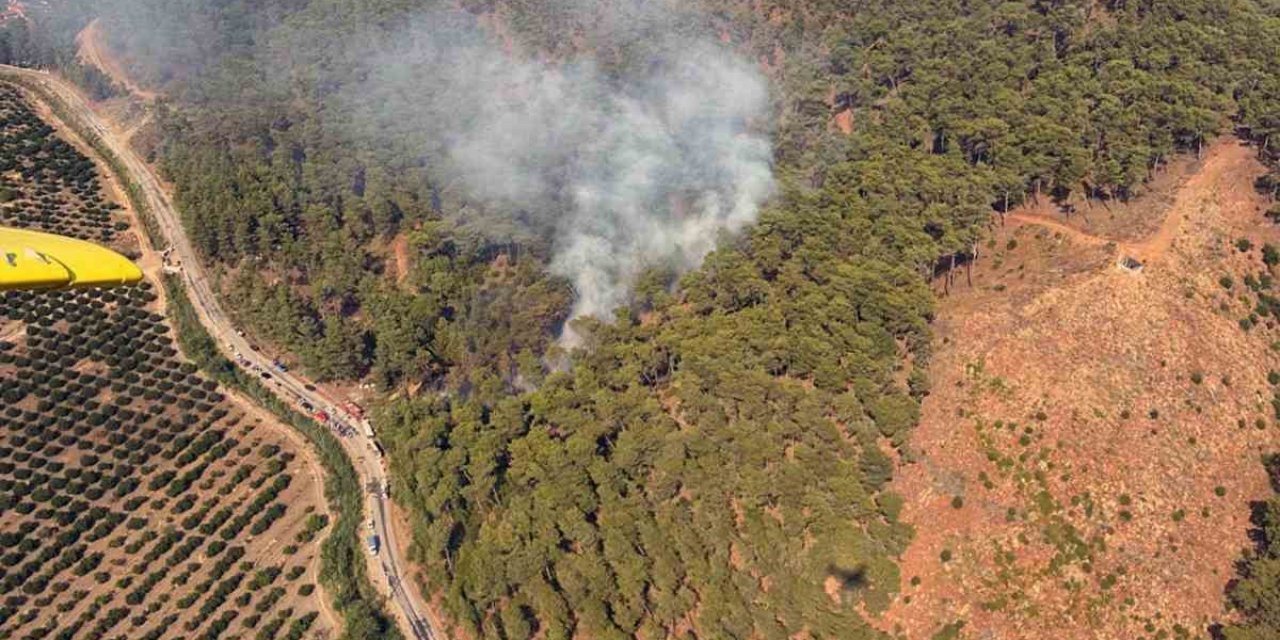 Ortaca’da orman yangını büyümeden söndürüldü