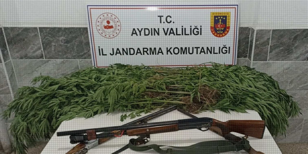 Zeytin bahçesinden uyuşturucu çıktı