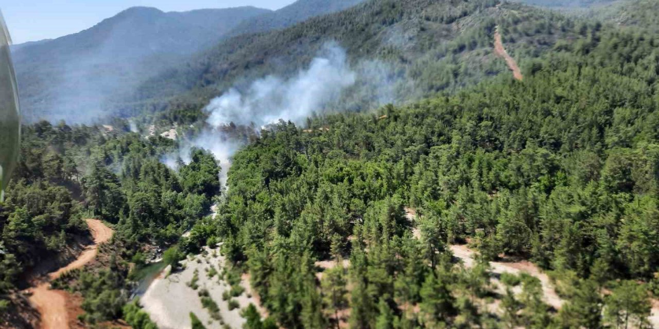 Köyceğiz’de orman yangını