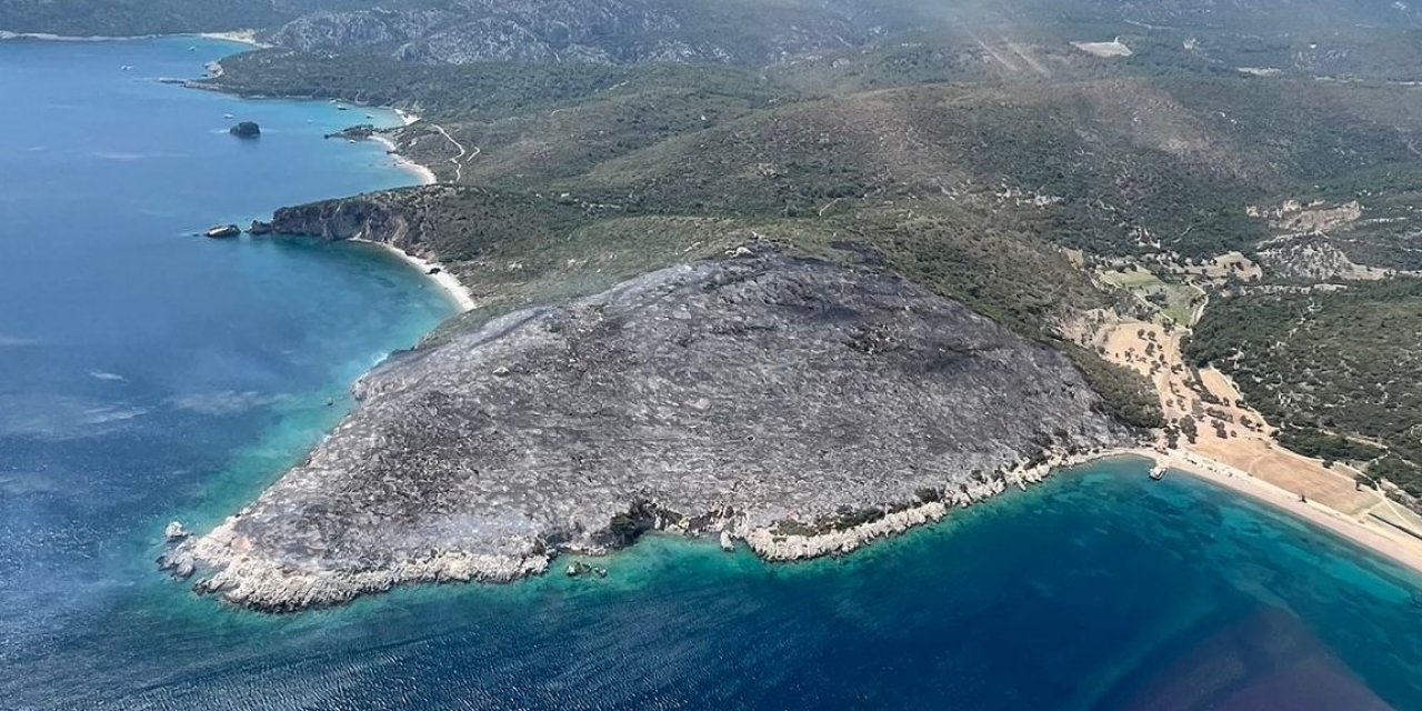 İzmir’de makilik alanda çıkan yangın kontrol altında