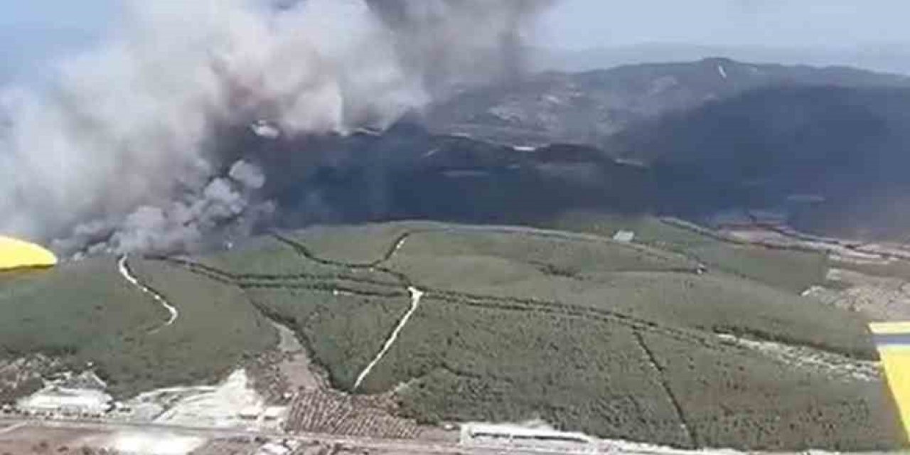 Bodrum yangınına 7 helikopter 3 uçak müdahale ediyor