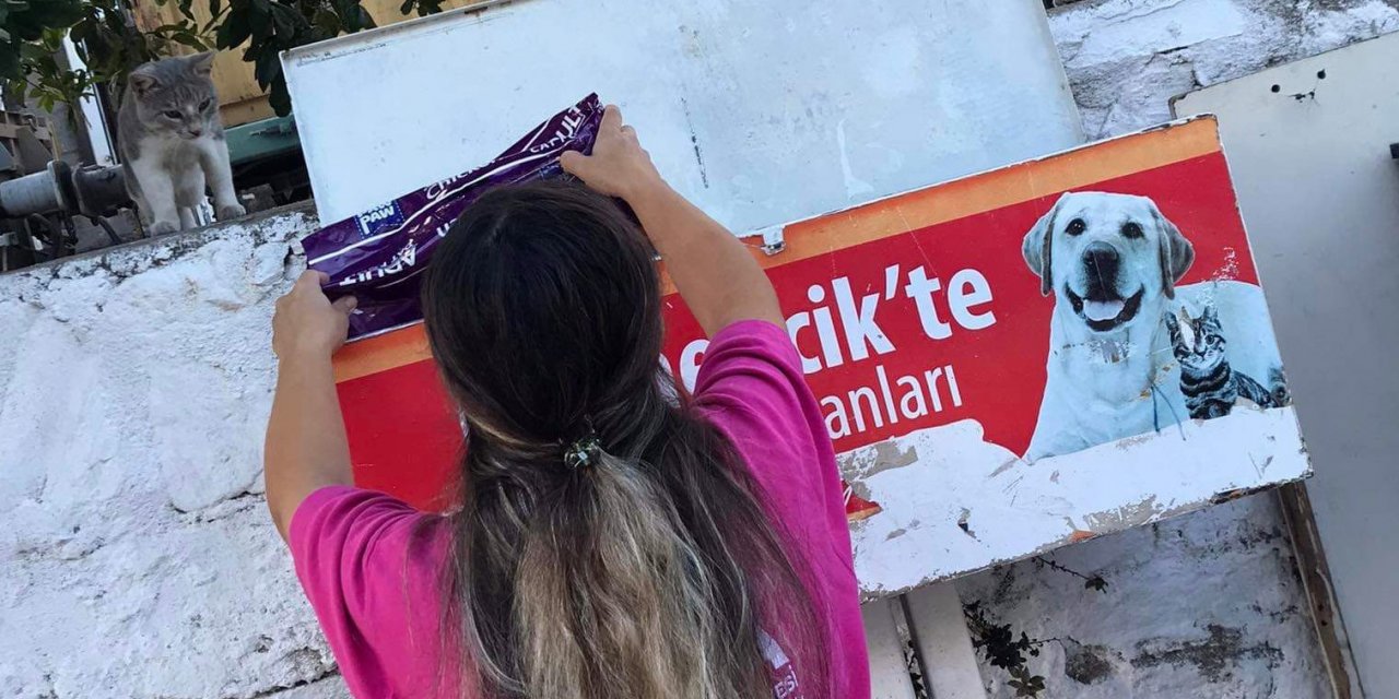 Germencik Belediyesi kavurucu sıcaklarda can dostlar için seferber oldu