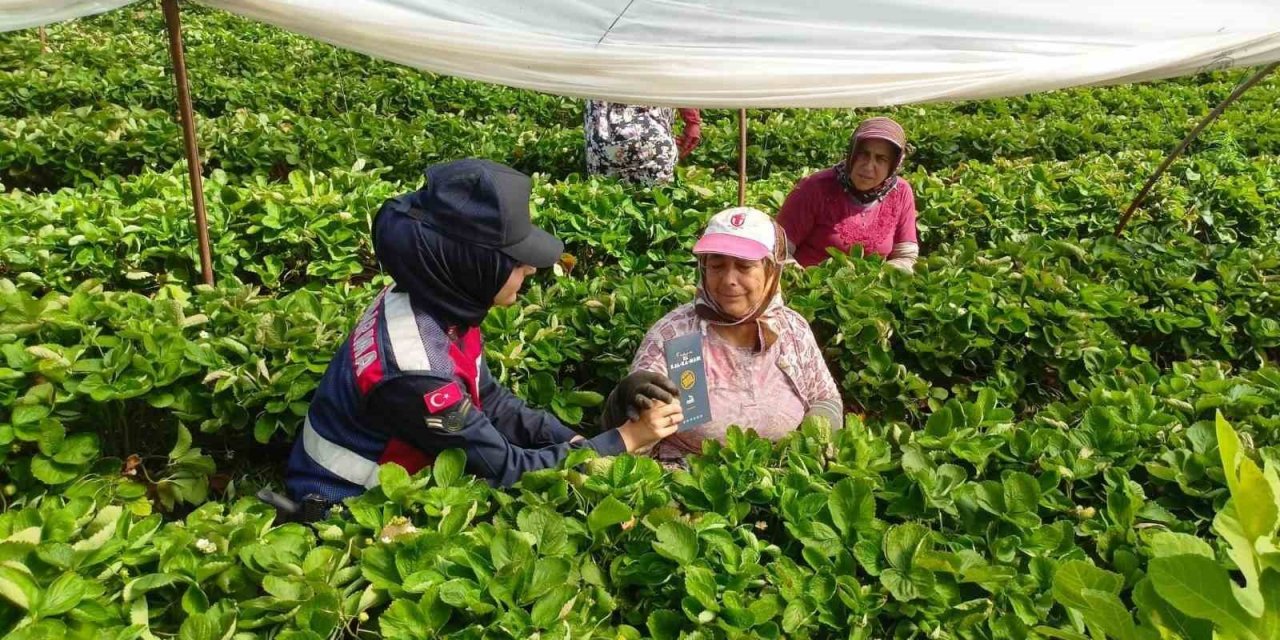 Aydın jandarması kadınları bilgilendirdi