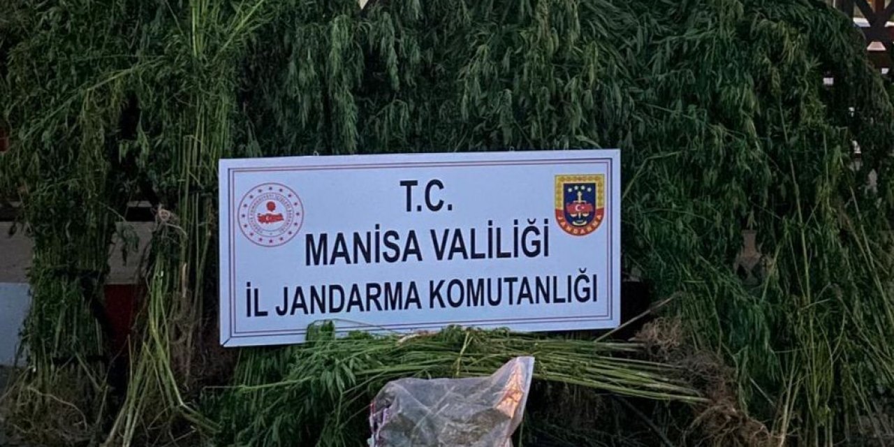 Turgutlu’da jandarmadan uyuşturucu operasyonu