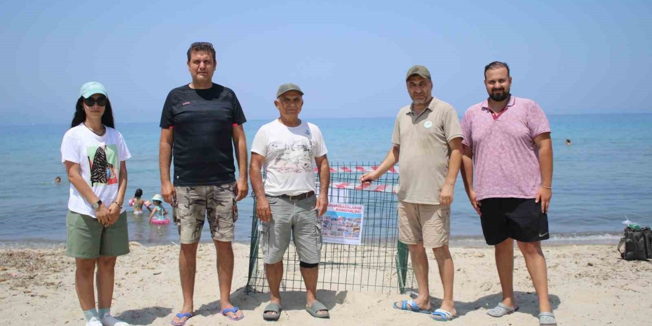 Kuşadası’nın tertemiz plajları caretta caretta yuvalarına ev sahipliği yapıyor