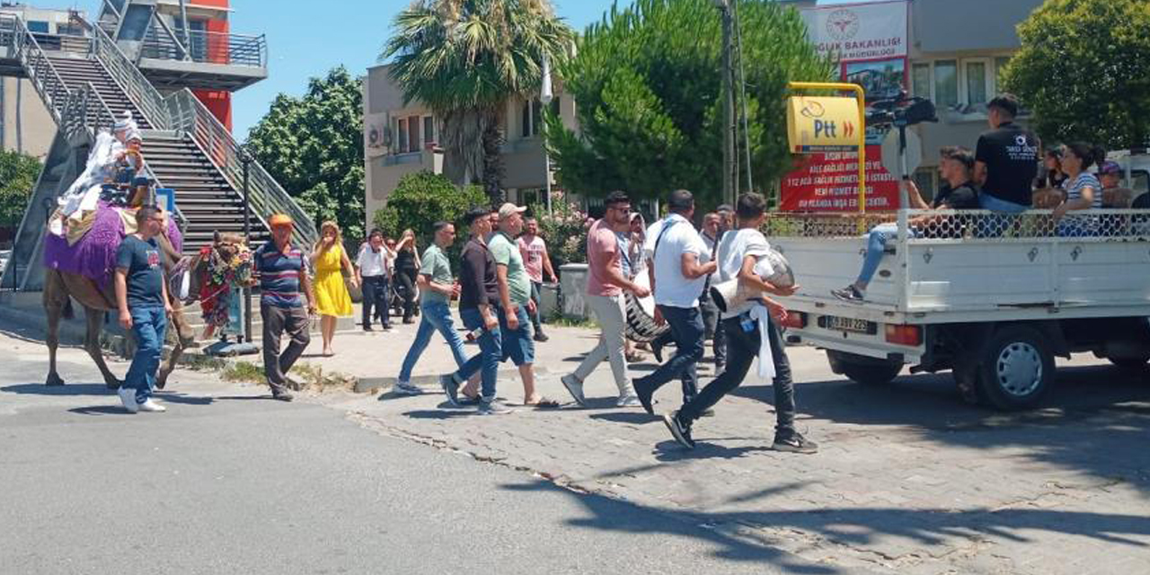 Aydın’da deve kültürü her alanda yaşatılıyor