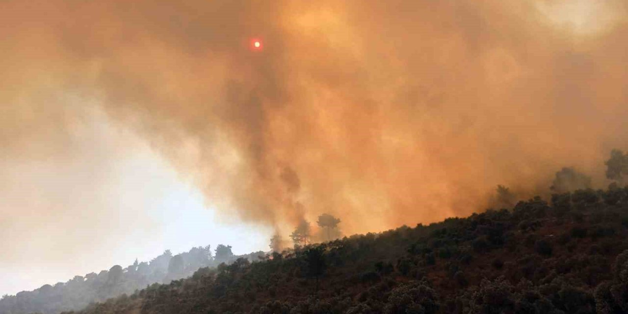 160 hektar alanı torpille yakmış