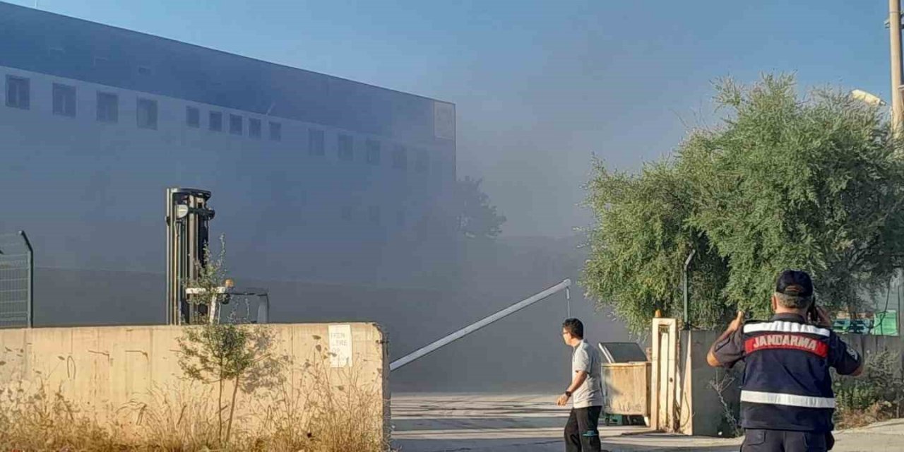 Lojistik firmasındaki yangın devam ediyor