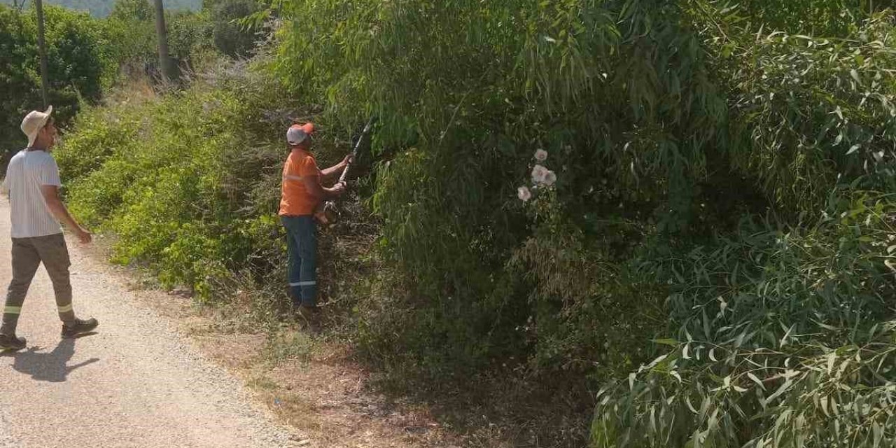 Marmaris’te yangına karşı ağaçlar budanıyor