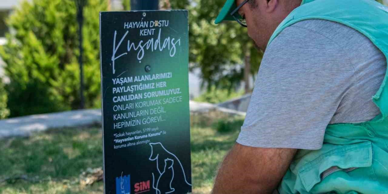 Kuşadası Belediyesi’nden sokak hayvanlarına su ve mama desteği