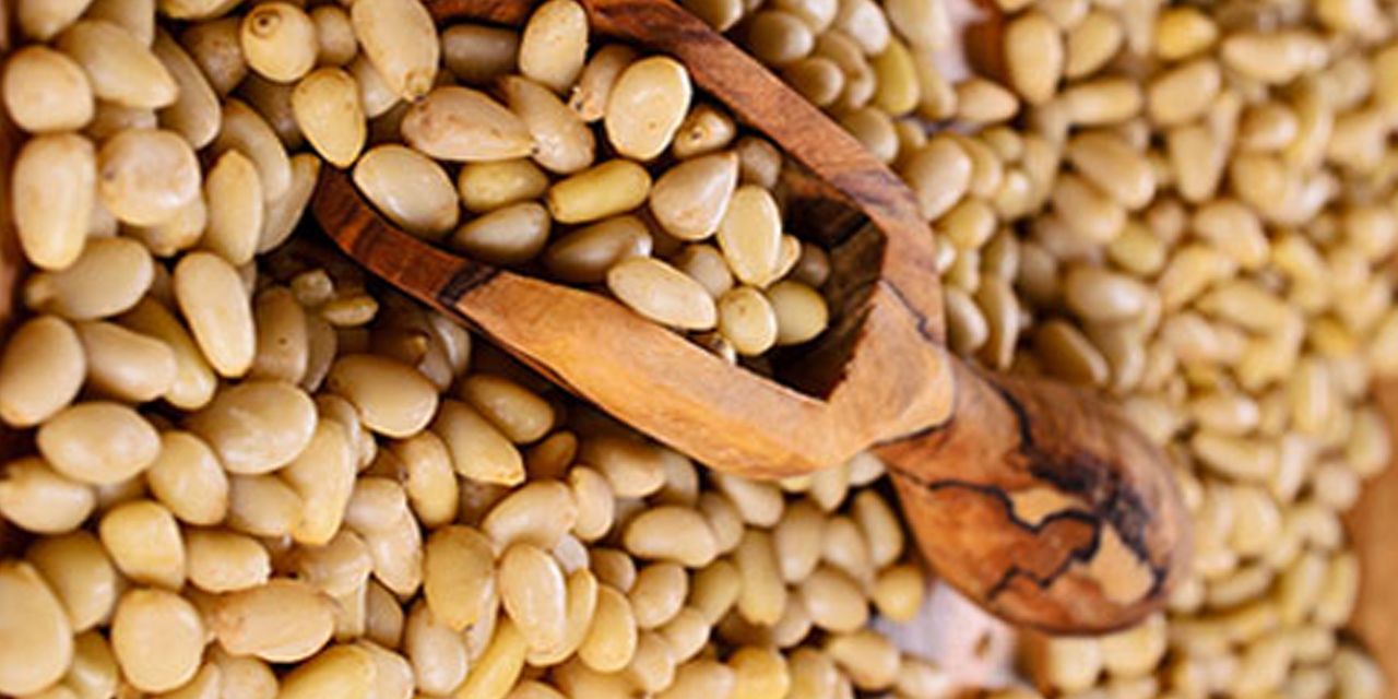 Çam Fıstığı Fiyatı