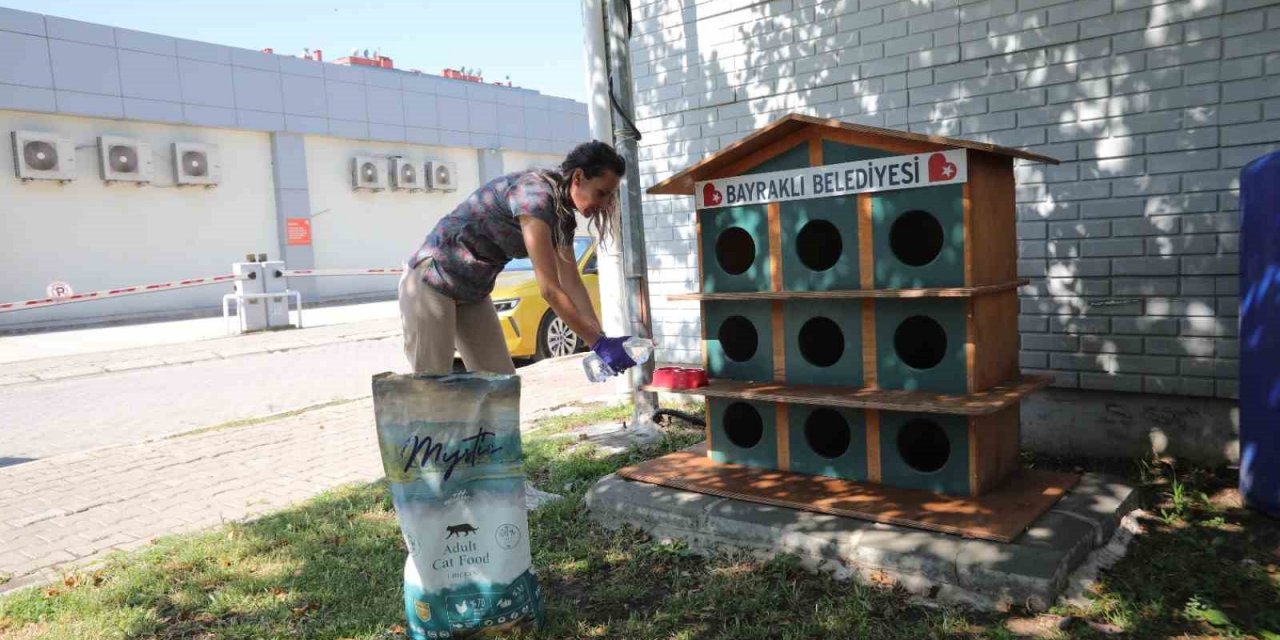 Bayraklı’da can dostlar için bir kap su kampanyası