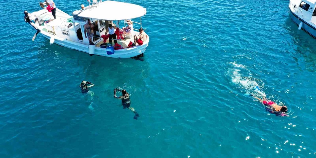 Deniz dibinden çıkanlar vatandaşları şok etti