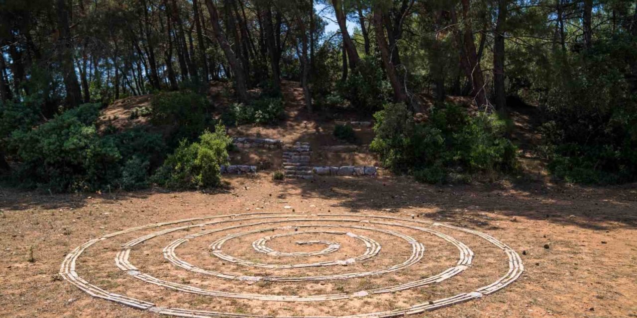 Olivelo Yaşayan Park’ta safari turları yarın başlıyor