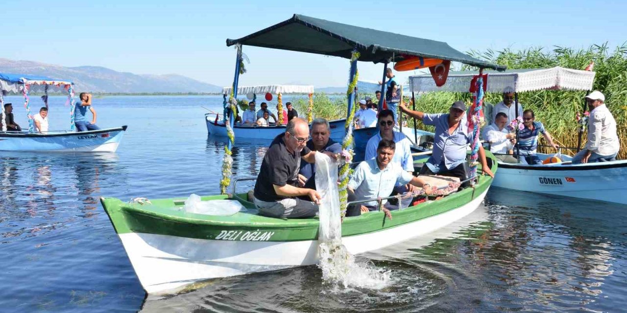 Denizli’de 25 su kaynağına 765 bin sazan yavrusu bırakıldı