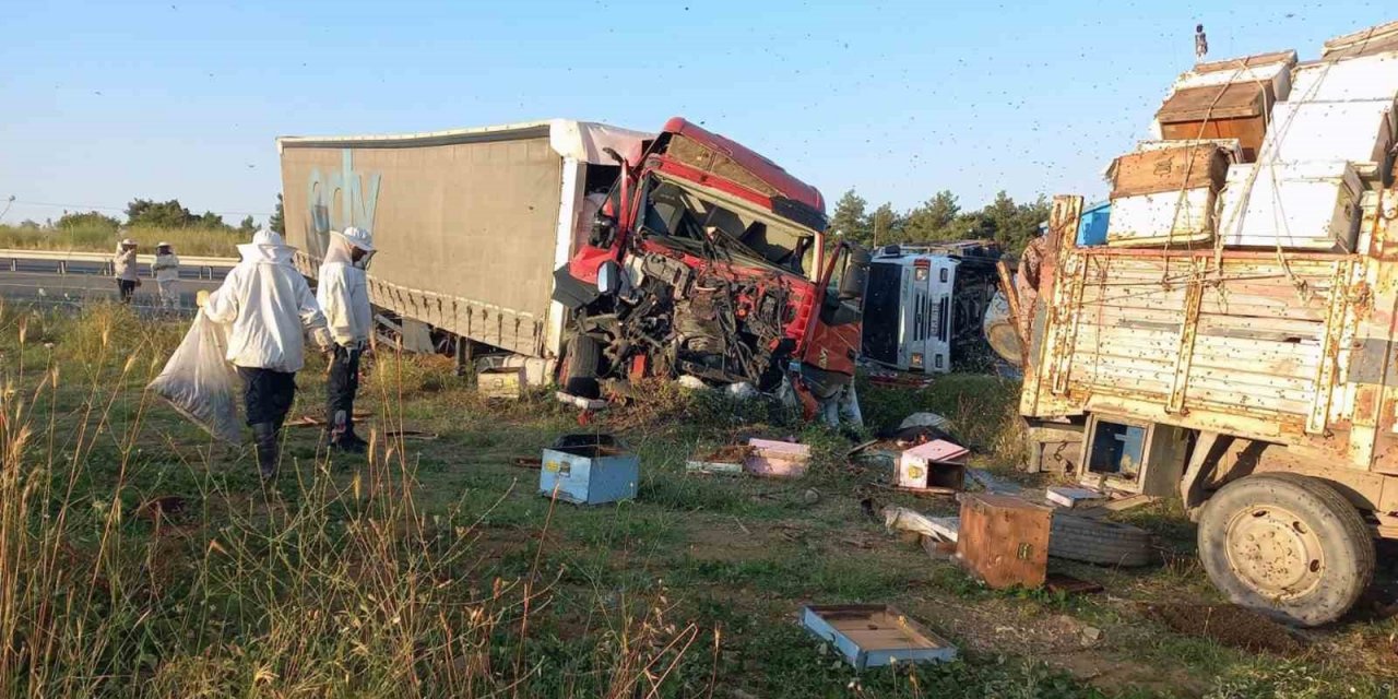 Edirne’de, Muğlalı arıcılara tır çarptı: 4 ölü, 1 yaralı