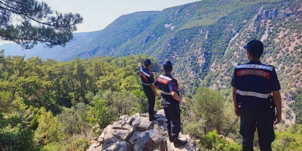 Jandarma ‘Yeşil Vatan’ devriyesinde