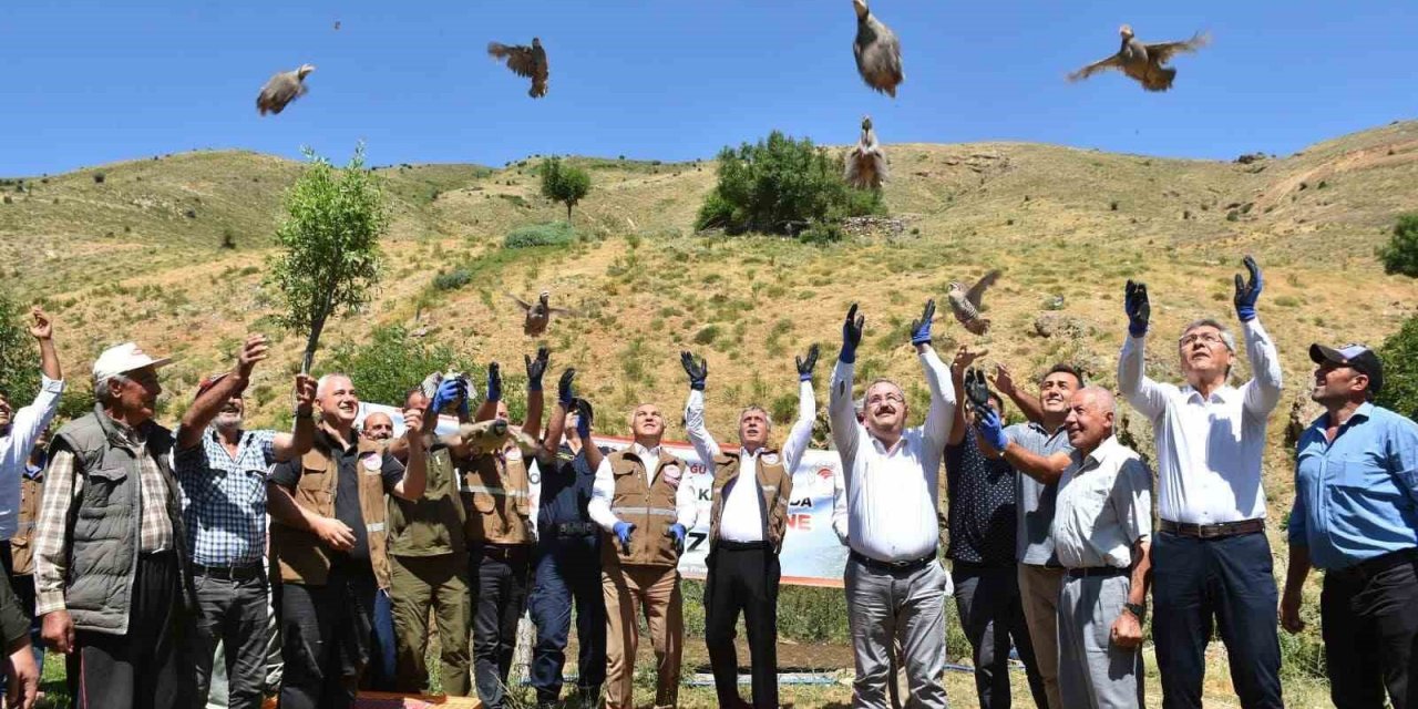 Salihli’de 450 kınalı keklik doğaya salındı