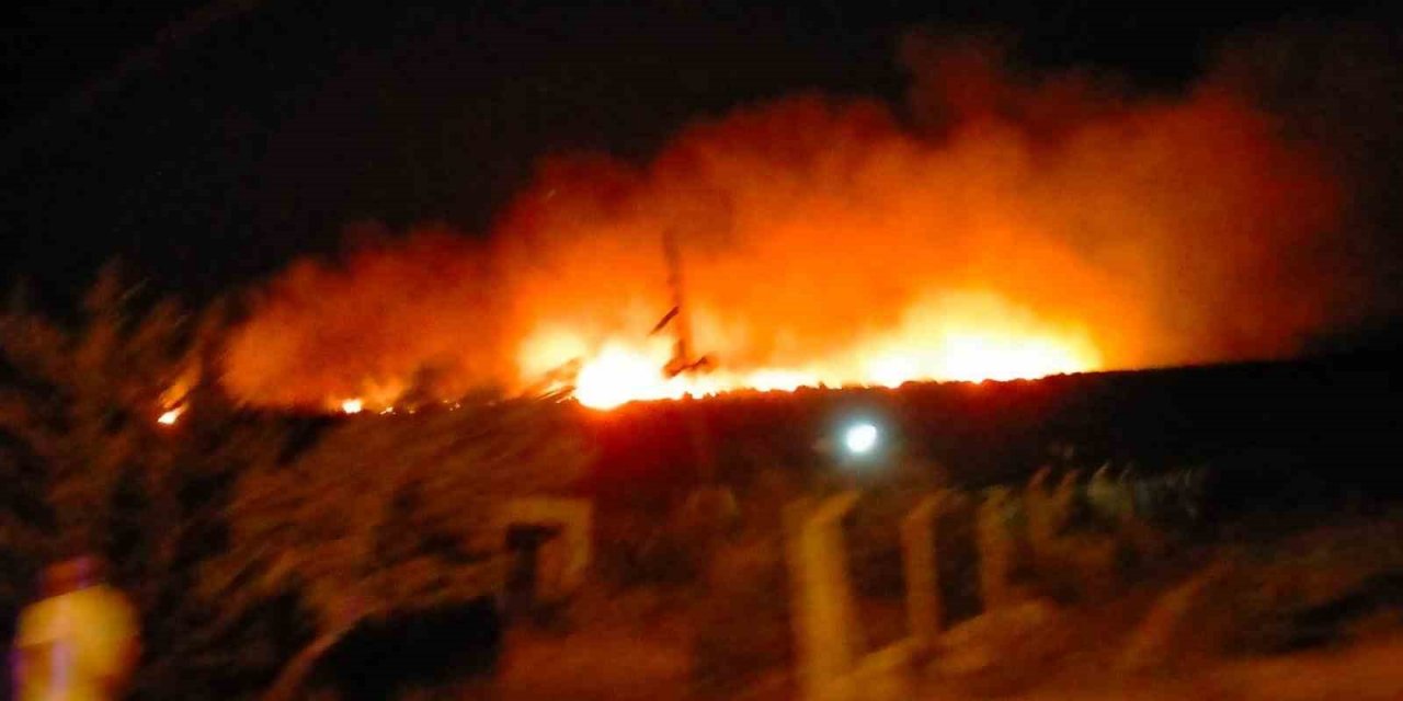 Çeşme’de çamlık alanda yangın