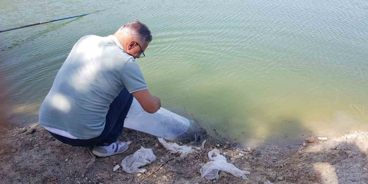 Buldan’da 50 bin balık suya bırakıldı