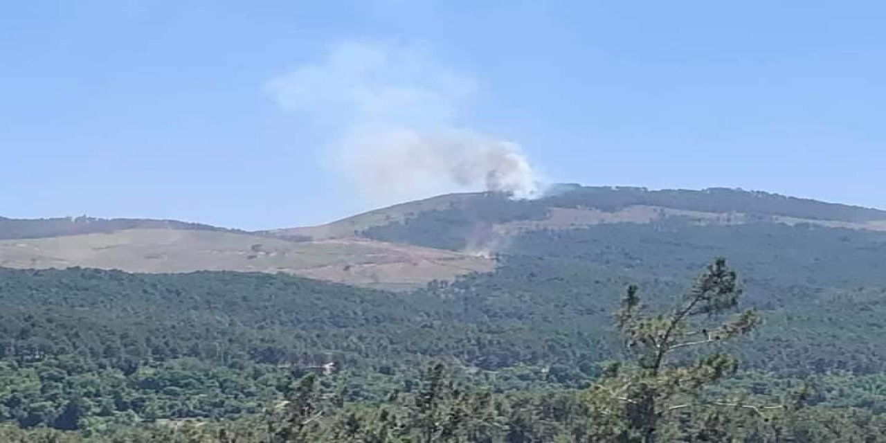 Muğla’da orman yangını