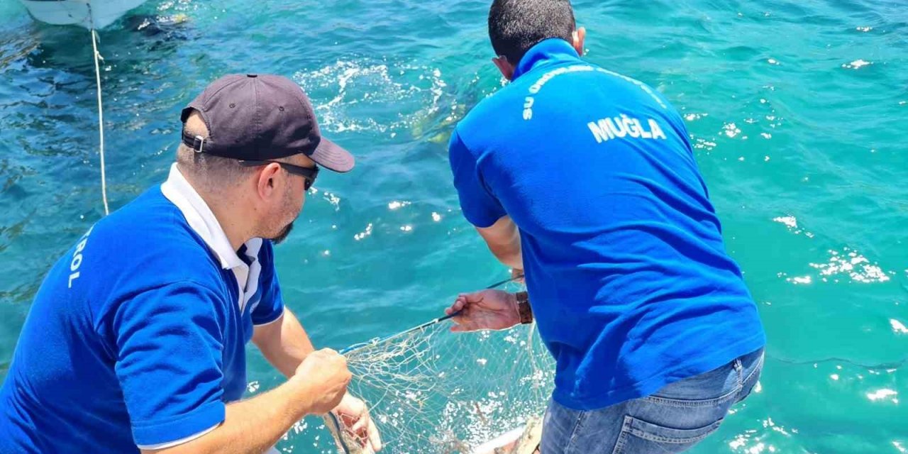 Bodrum’da hayalet ağ temizliği yapıldı