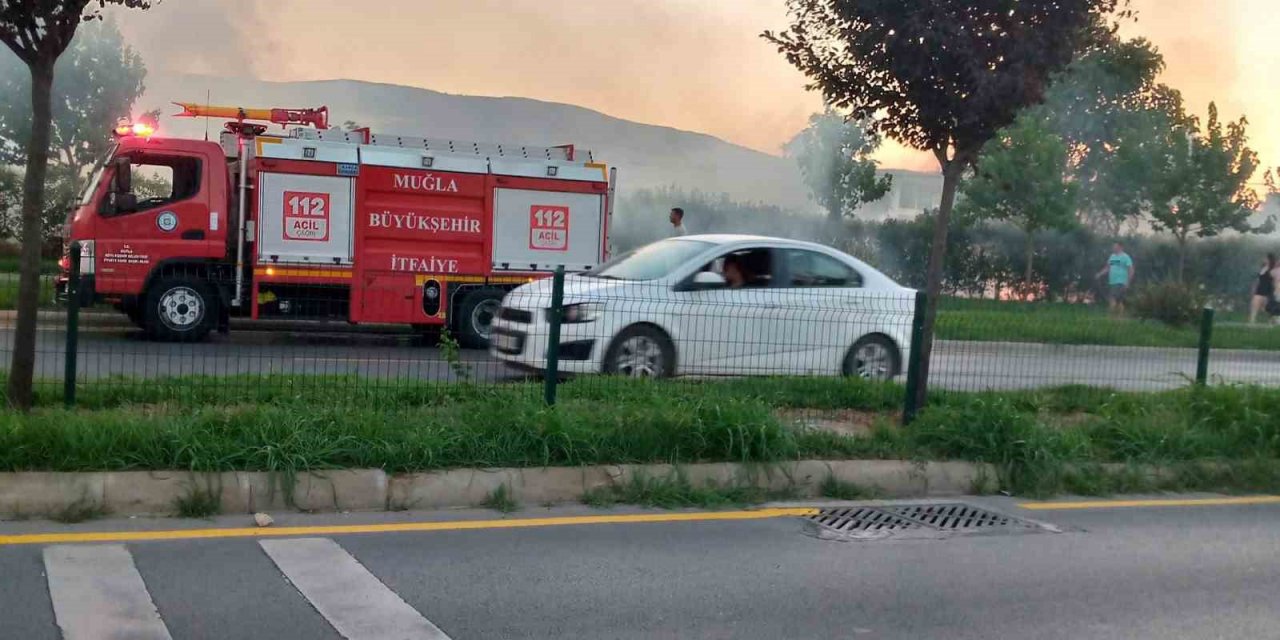 Otluk alanda çıkan yangın ekiplerin zamanında müdahalesi ile söndürüldü